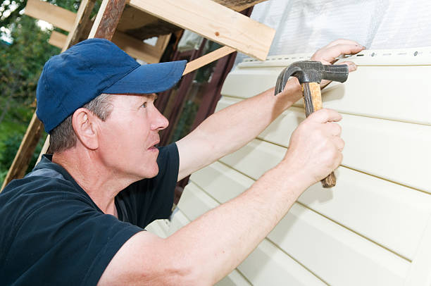 Best Vinyl Siding Installation  in Holstein, IA