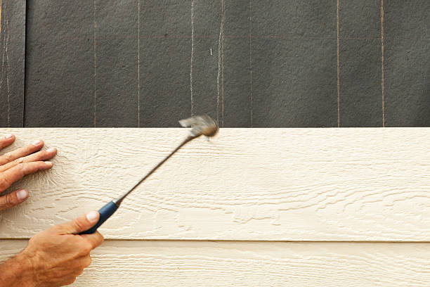 Best Storm Damage Siding Repair  in Holstein, IA