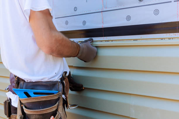 Best Vinyl Siding Installation  in Holstein, IA