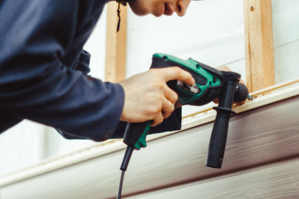  Holstein, IA Siding Pros